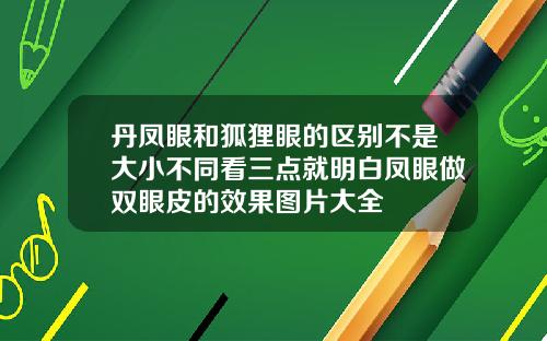 丹凤眼和狐狸眼的区别不是大小不同看三点就明白凤眼做双眼皮的效果图片大全