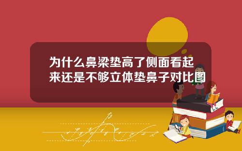 为什么鼻梁垫高了侧面看起来还是不够立体垫鼻子对比图