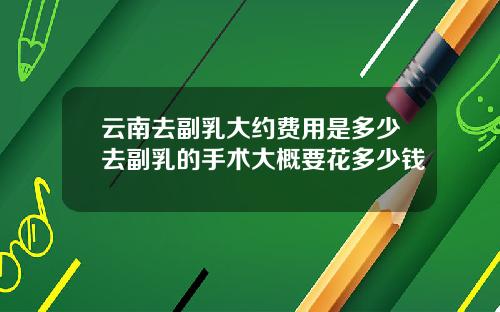 云南去副乳大约费用是多少去副乳的手术大概要花多少钱
