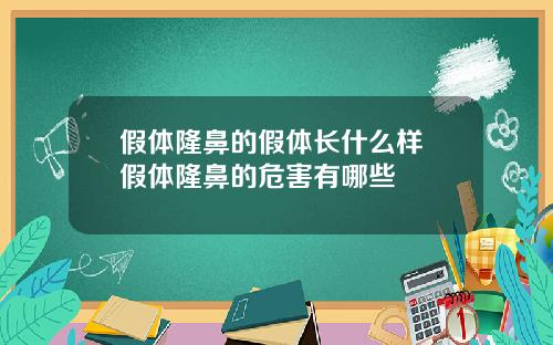 假体隆鼻的假体长什么样 假体隆鼻的危害有哪些
