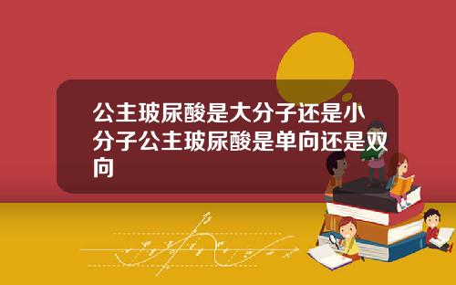 公主玻尿酸是大分子还是小分子公主玻尿酸是单向还是双向