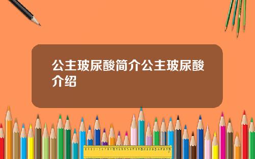 公主玻尿酸简介公主玻尿酸介绍