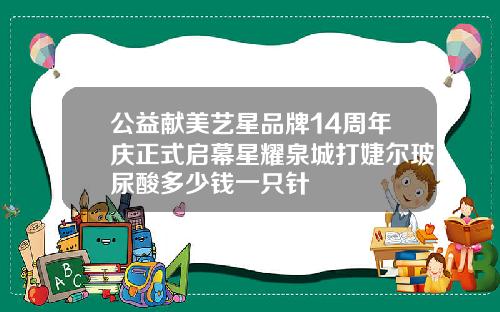 公益献美艺星品牌14周年庆正式启幕星耀泉城打婕尔玻尿酸多少钱一只针