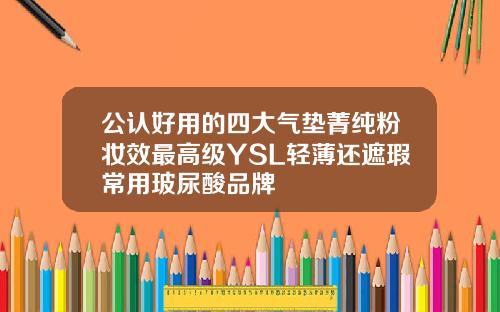 公认好用的四大气垫菁纯粉妆效最高级YSL轻薄还遮瑕常用玻尿酸品牌