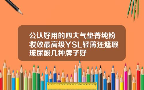 公认好用的四大气垫菁纯粉妆效最高级YSL轻薄还遮瑕玻尿酸几种牌子好
