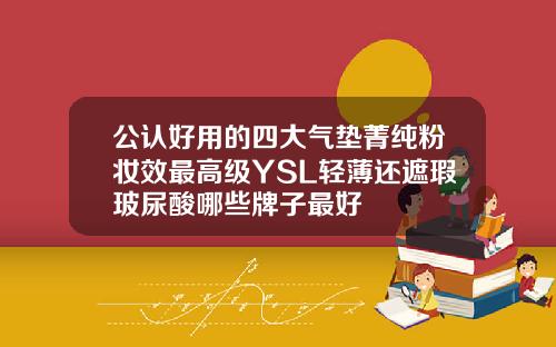 公认好用的四大气垫菁纯粉妆效最高级YSL轻薄还遮瑕玻尿酸哪些牌子最好