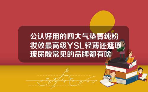 公认好用的四大气垫菁纯粉妆效最高级YSL轻薄还遮瑕玻尿酸常见的品牌都有啥