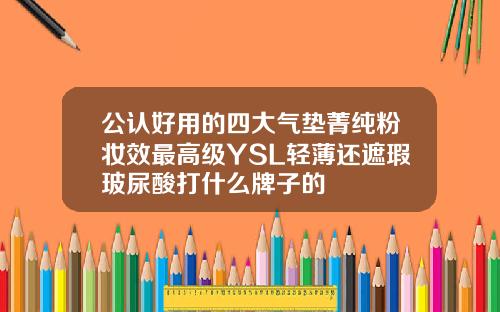 公认好用的四大气垫菁纯粉妆效最高级YSL轻薄还遮瑕玻尿酸打什么牌子的