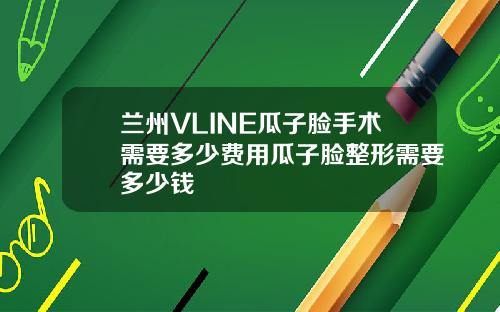 兰州VLINE瓜子脸手术需要多少费用瓜子脸整形需要多少钱