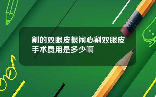 割的双眼皮很闹心割双眼皮手术费用是多少啊