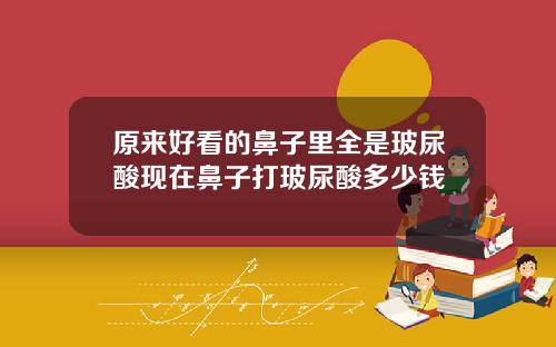 原来好看的鼻子里全是玻尿酸现在鼻子打玻尿酸多少钱