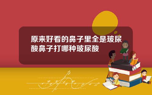 原来好看的鼻子里全是玻尿酸鼻子打哪种玻尿酸