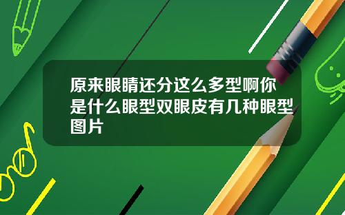 原来眼睛还分这么多型啊你是什么眼型双眼皮有几种眼型图片