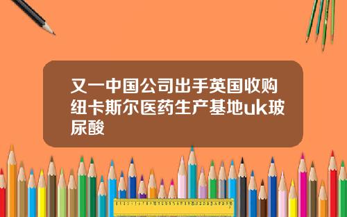 又一中国公司出手英国收购纽卡斯尔医药生产基地uk玻尿酸