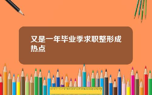 又是一年毕业季求职整形成热点