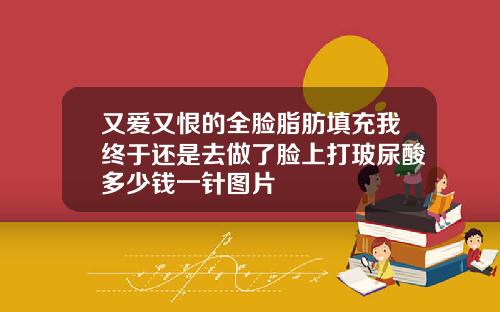 又爱又恨的全脸脂肪填充我终于还是去做了脸上打玻尿酸多少钱一针图片