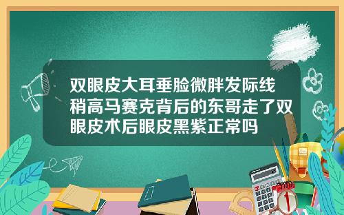 双眼皮大耳垂脸微胖发际线稍高马赛克背后的东哥走了双眼皮术后眼皮黑紫正常吗