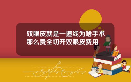 双眼皮就是一道线为啥手术那么贵全切开双眼皮费用