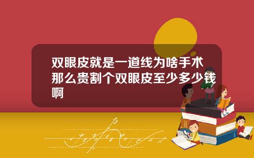 双眼皮就是一道线为啥手术那么贵割个双眼皮至少多少钱啊