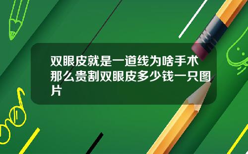 双眼皮就是一道线为啥手术那么贵割双眼皮多少钱一只图片