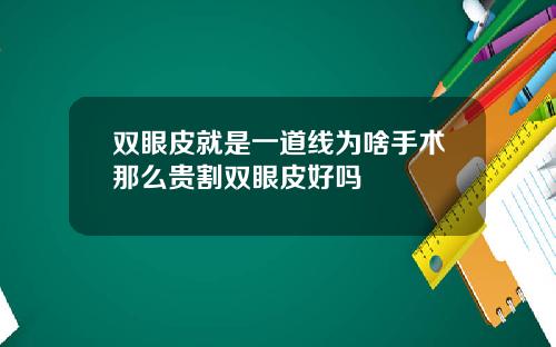 双眼皮就是一道线为啥手术那么贵割双眼皮好吗
