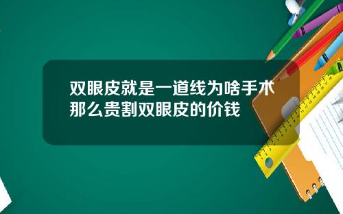 双眼皮就是一道线为啥手术那么贵割双眼皮的价钱