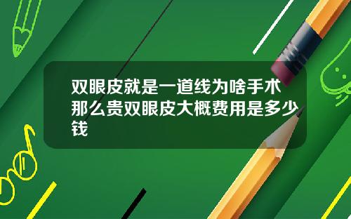 双眼皮就是一道线为啥手术那么贵双眼皮大概费用是多少钱