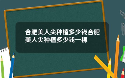 合肥美人尖种植多少钱合肥美人尖种植多少钱一棵
