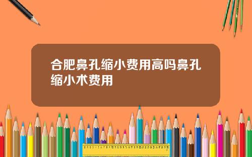 合肥鼻孔缩小费用高吗鼻孔缩小术费用