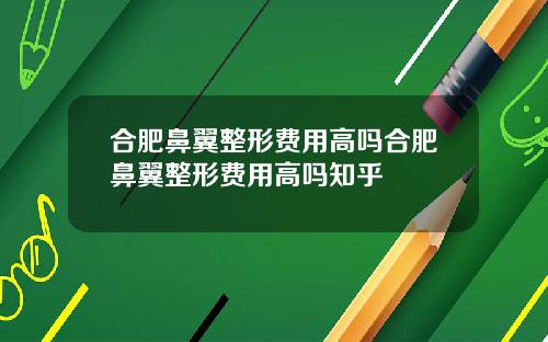 合肥鼻翼整形费用高吗合肥鼻翼整形费用高吗知乎