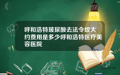 呼和浩特玻尿酸去法令纹大约费用是多少呼和浩特医疗美容医院