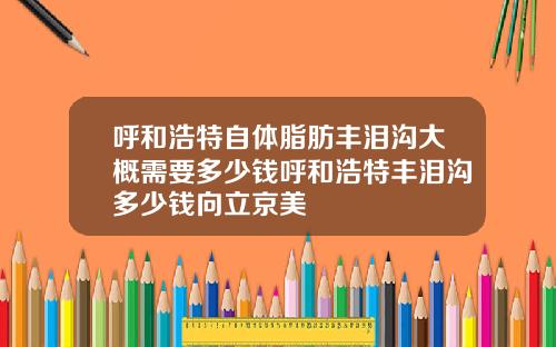 呼和浩特自体脂肪丰泪沟大概需要多少钱呼和浩特丰泪沟多少钱向立京美