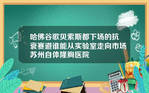 哈佛谷歌贝索斯都下场的抗衰赛道谁能从实验室走向市场苏州自体隆胸医院
