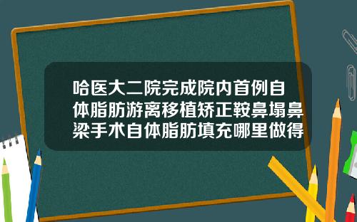 哈医大二院完成院内首例自体脂肪游离移植矫正鞍鼻塌鼻梁手术自体脂肪填充哪里做得最好