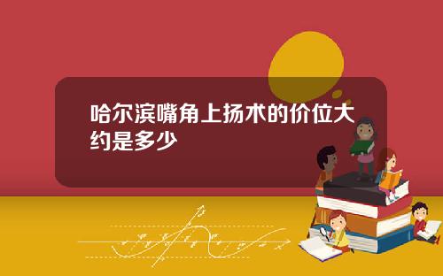 哈尔滨嘴角上扬术的价位大约是多少