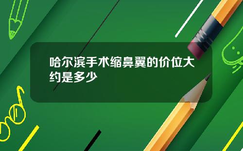 哈尔滨手术缩鼻翼的价位大约是多少