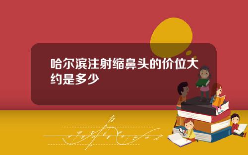 哈尔滨注射缩鼻头的价位大约是多少