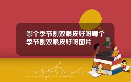 哪个季节割双眼皮好呀哪个季节割双眼皮好呀图片