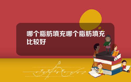 哪个脂肪填充哪个脂肪填充比较好