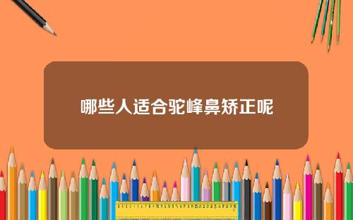 哪些人适合驼峰鼻矫正呢