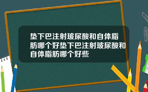 垫下巴注射玻尿酸和自体脂肪哪个好垫下巴注射玻尿酸和自体脂肪哪个好些