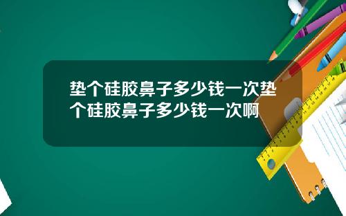 垫个硅胶鼻子多少钱一次垫个硅胶鼻子多少钱一次啊