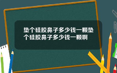 垫个硅胶鼻子多少钱一颗垫个硅胶鼻子多少钱一颗啊