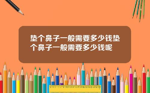 垫个鼻子一般需要多少钱垫个鼻子一般需要多少钱呢