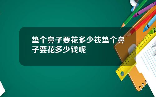 垫个鼻子要花多少钱垫个鼻子要花多少钱呢