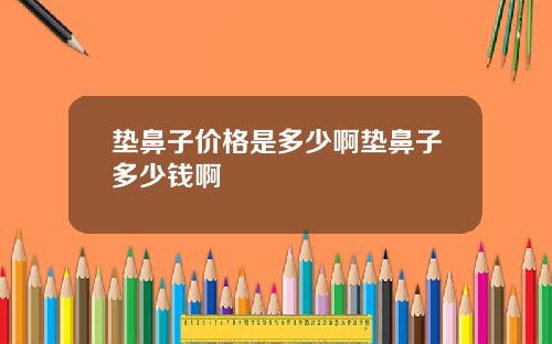 垫鼻子价格是多少啊垫鼻子多少钱啊