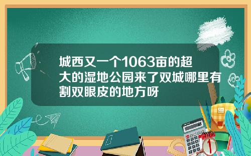 城西又一个1063亩的超大的湿地公园来了双城哪里有割双眼皮的地方呀