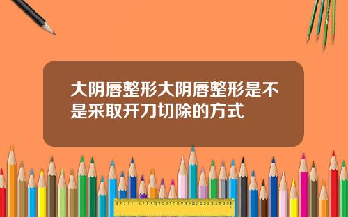 大阴唇整形大阴唇整形是不是采取开刀切除的方式