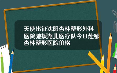 天使出征沈阳杏林整形外科医院驰援湖北医疗队今日赴鄂杏林整形医院价格
