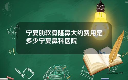 宁夏肋软骨隆鼻大约费用是多少宁夏鼻科医院